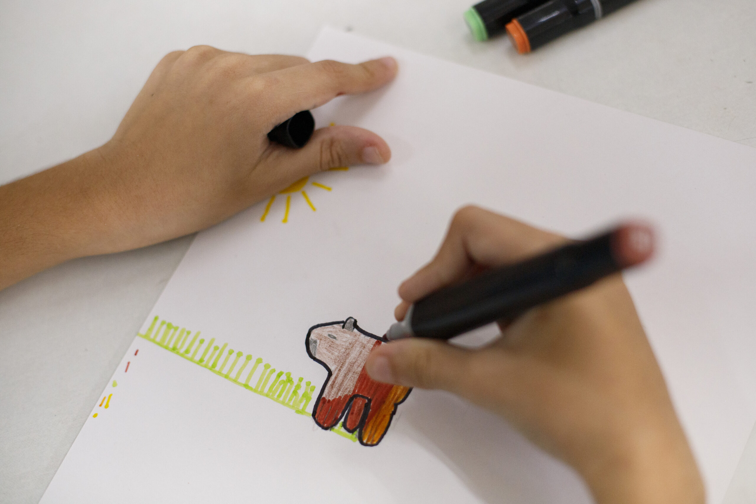 Projeto Arte Integração - CEF 02 Planaltina - Joanna Hoffmann-23