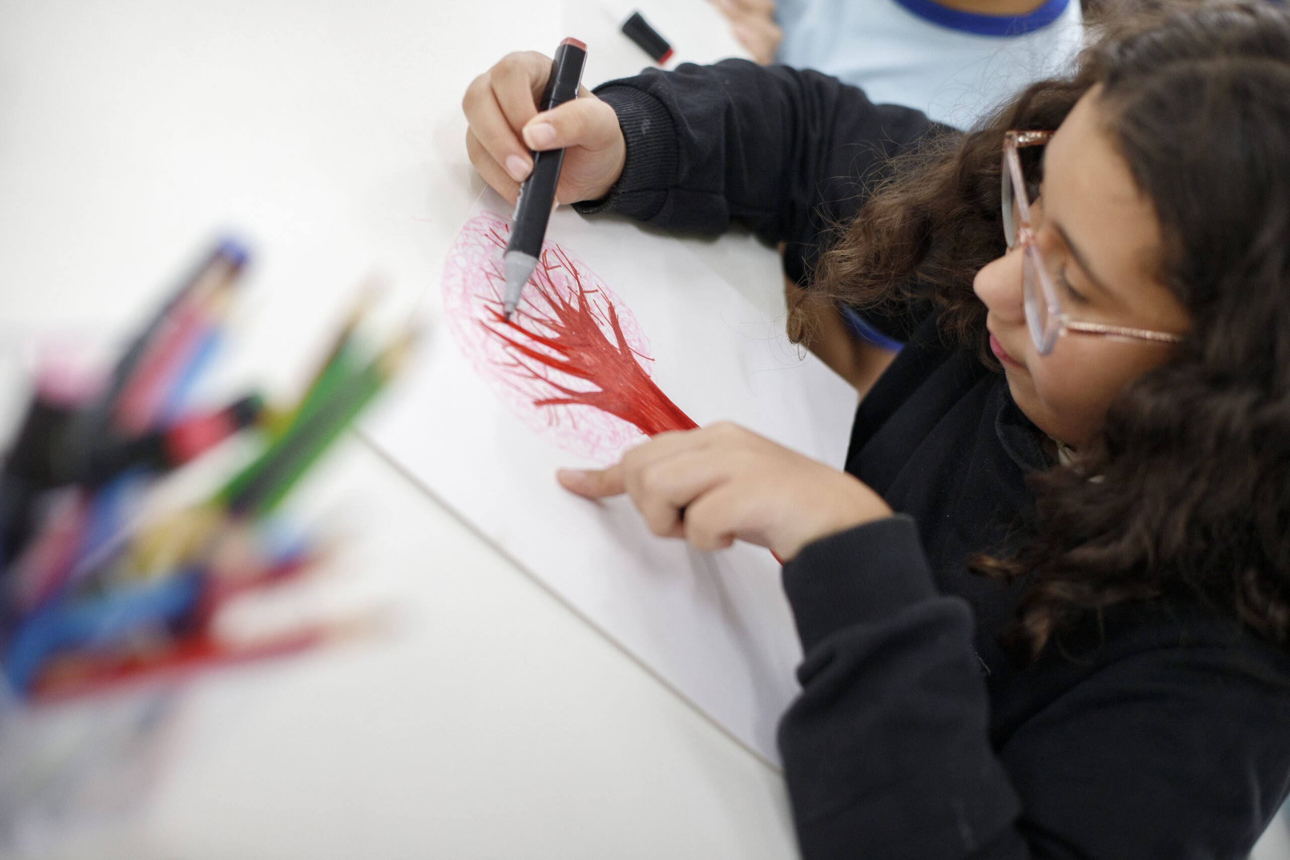 Projeto Arte Integração - CEF 02 Planaltina - Joanna Hoffmann-9